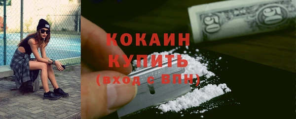 твердый Карпинск