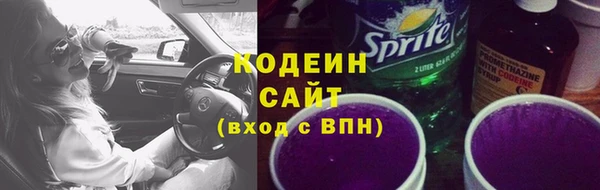 твердый Карпинск