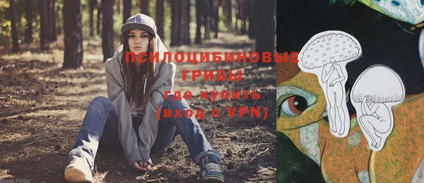 твердый Карпинск