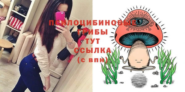 твердый Карпинск