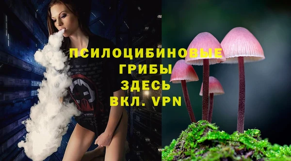 мяу мяу мука Карталы