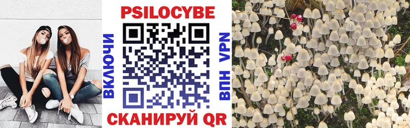 Купить где  Донецк  Псилоцибиновые грибы прущие грибы 